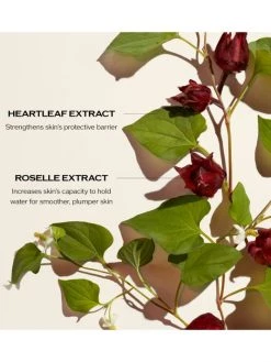 Shiseido Limited-Edition 150 Year Anniversary Ultimune Power Infusing Serum -Deals Thessura Store unnamed file 685