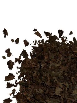 Shiseido Benefiance Overnight Wrinkle Resisting Cream -Deals Thessura Store unnamed file 909